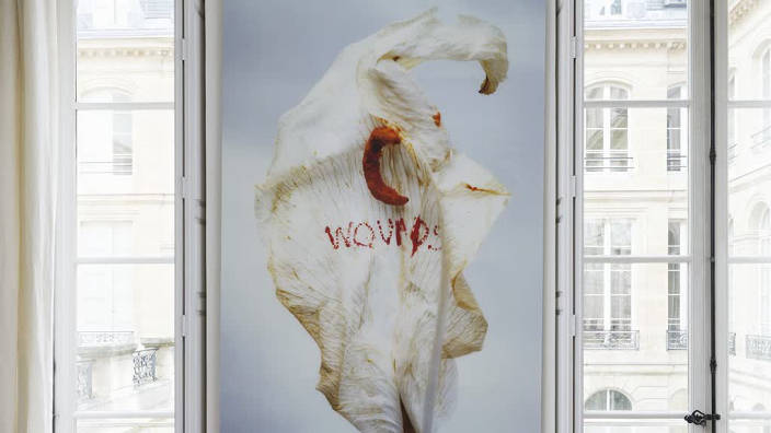 016. Galerie Mitterrand - "Wounds, série...